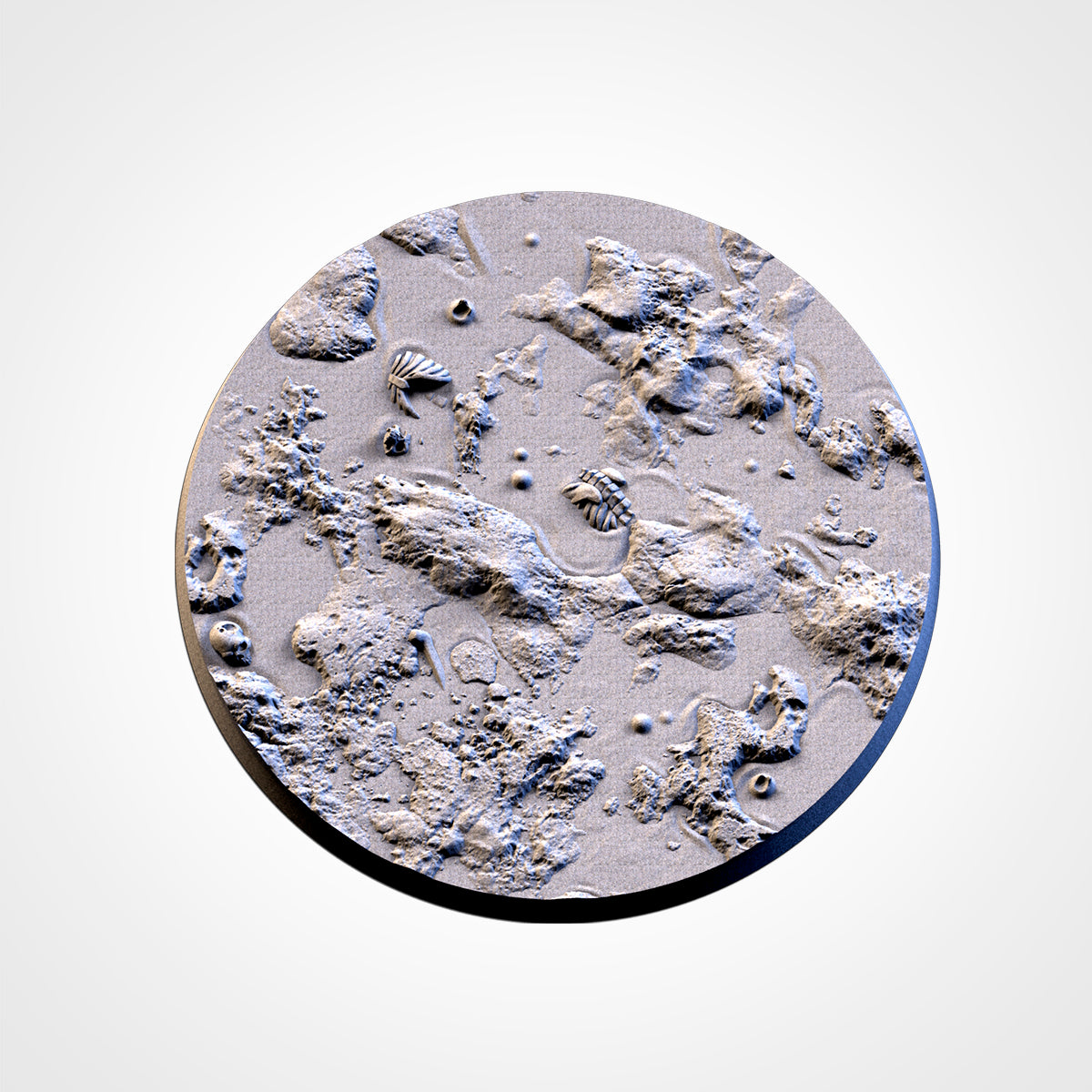Swamp Bases (Round) | Txarli Factory