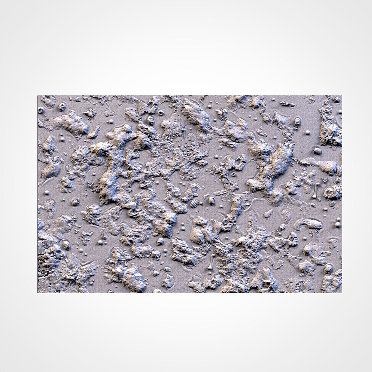 Swamp Bases (Round) | Txarli Factory