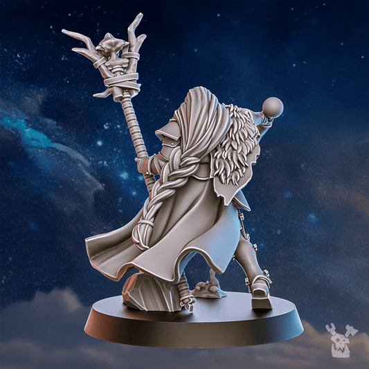 Blackhide Tribe Shaman | Stormpride Sisters | Dakka Dakka