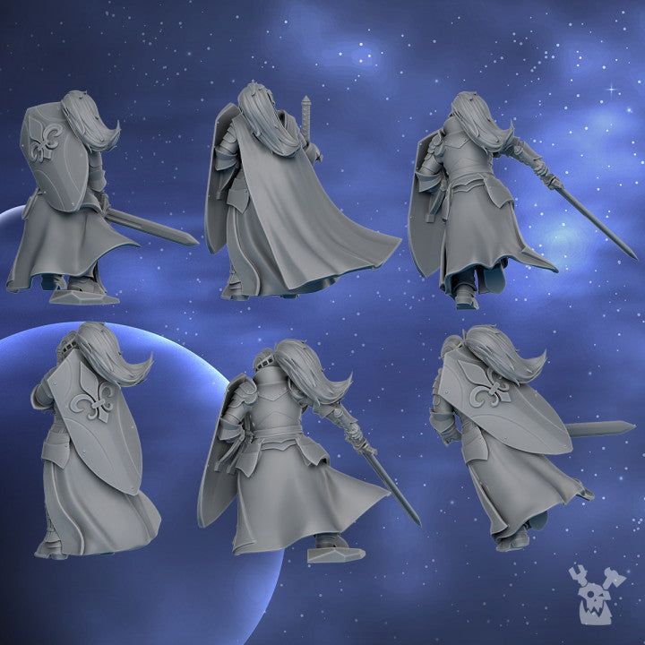 Knights of the Crescent | Silver Moon Daughters | Dakka Dakka