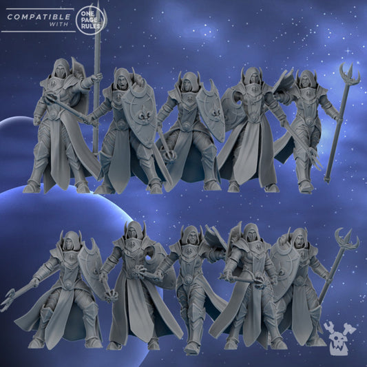 Silver Guards | Silver Moon Daughters | Dakka Dakka