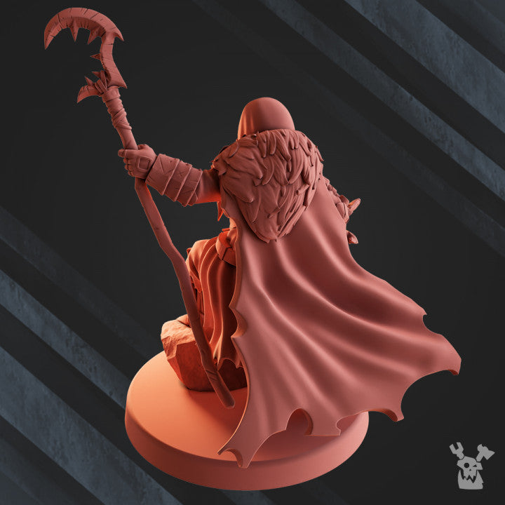 Hezur, Priest of Gore | Vultures Horde | Dakka Dakka