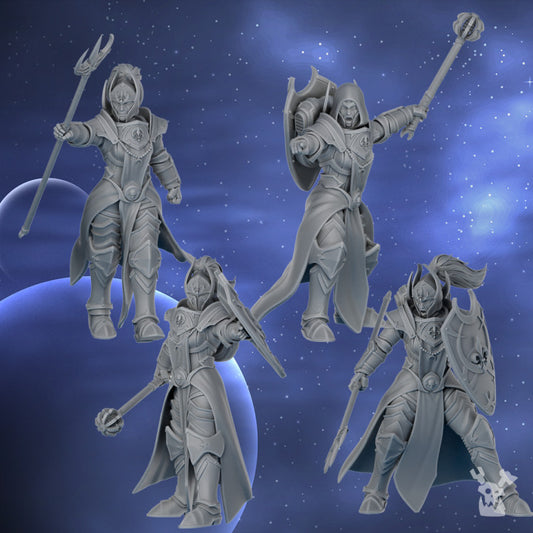 Silver Guards | Silver Moon Daughters | Dakka Dakka