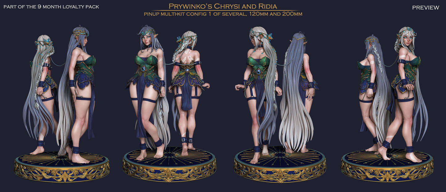 Lady Ridia and Chrisi - Standing - Double Pinup | Clothed or Nude | Resin 3D Printed Pinup | Ronin Arts Workshop
