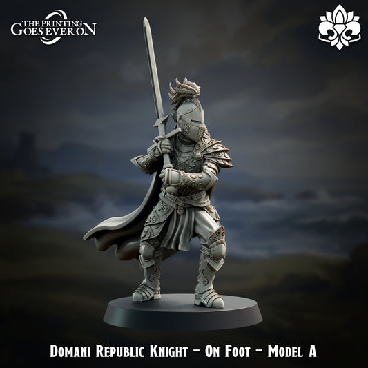Domani Republic Knights - On Foot | Domani Republic | The Printing Goes Ever On