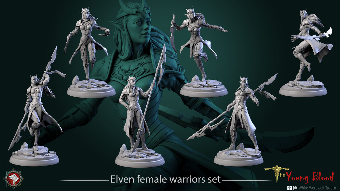Elven Female Warriors Set | The Young Blood | White Werewolf Tavern