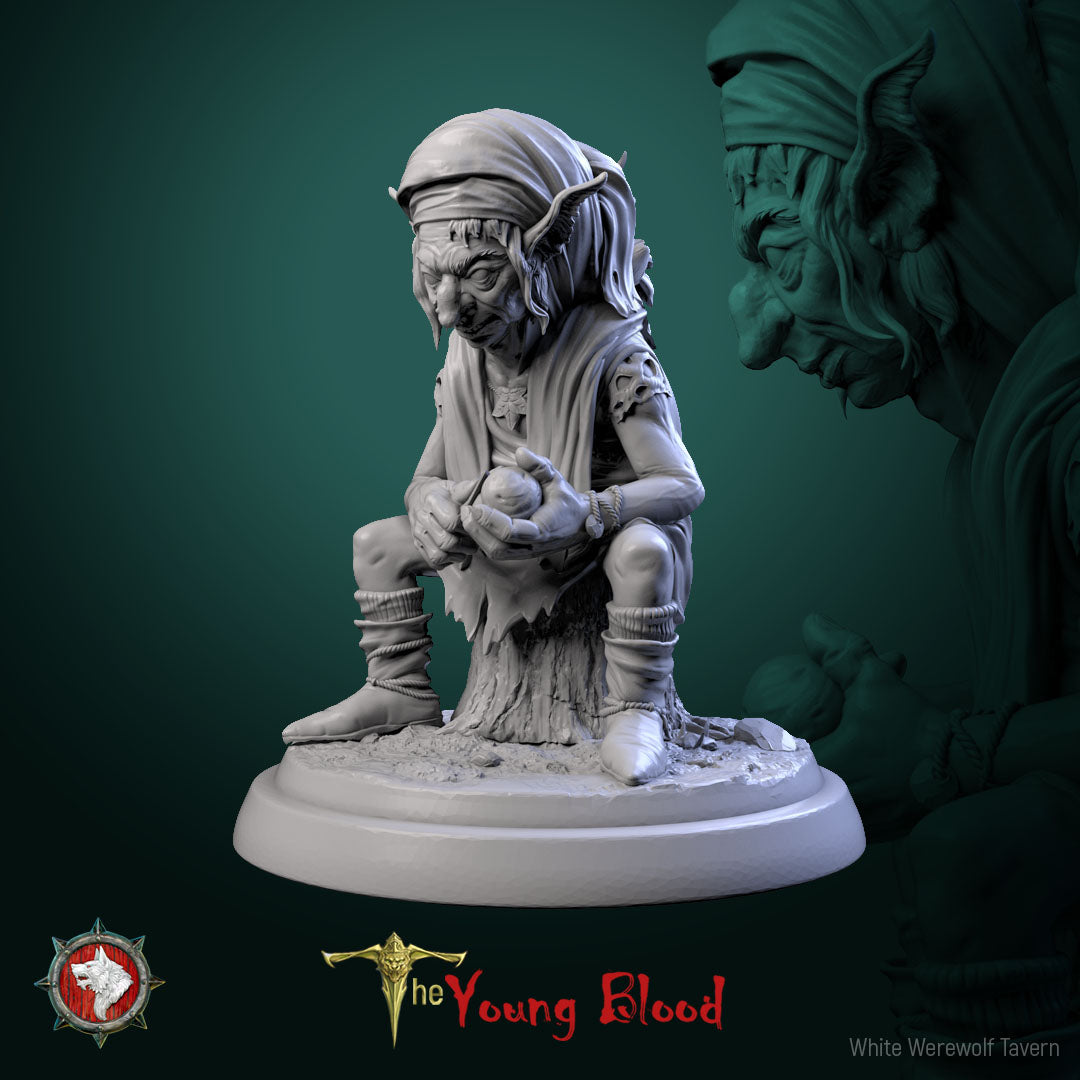 Elven Servants Set | The Young Blood | White Werewolf Tavern