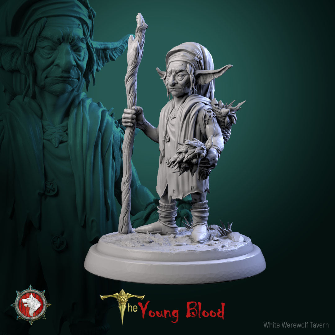 Elven Servants Set | The Young Blood | White Werewolf Tavern