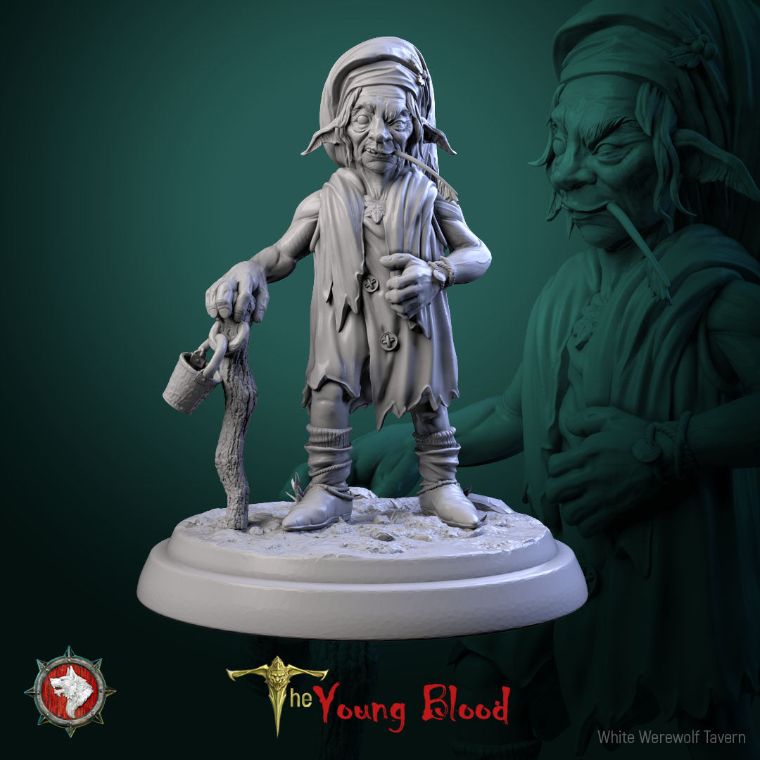 Elven Servants Set | The Young Blood | White Werewolf Tavern