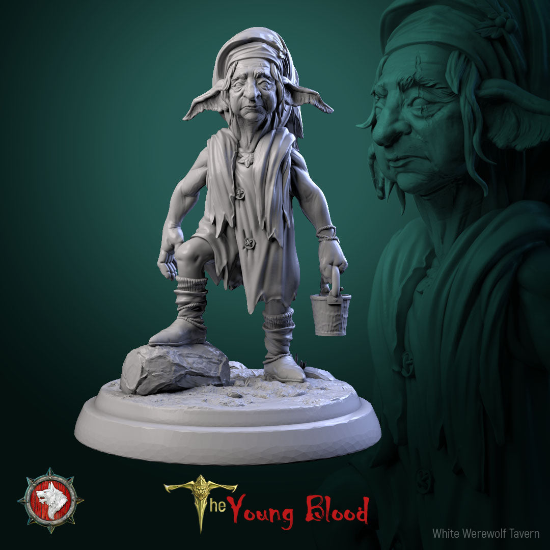 Elven Servants Set | The Young Blood | White Werewolf Tavern