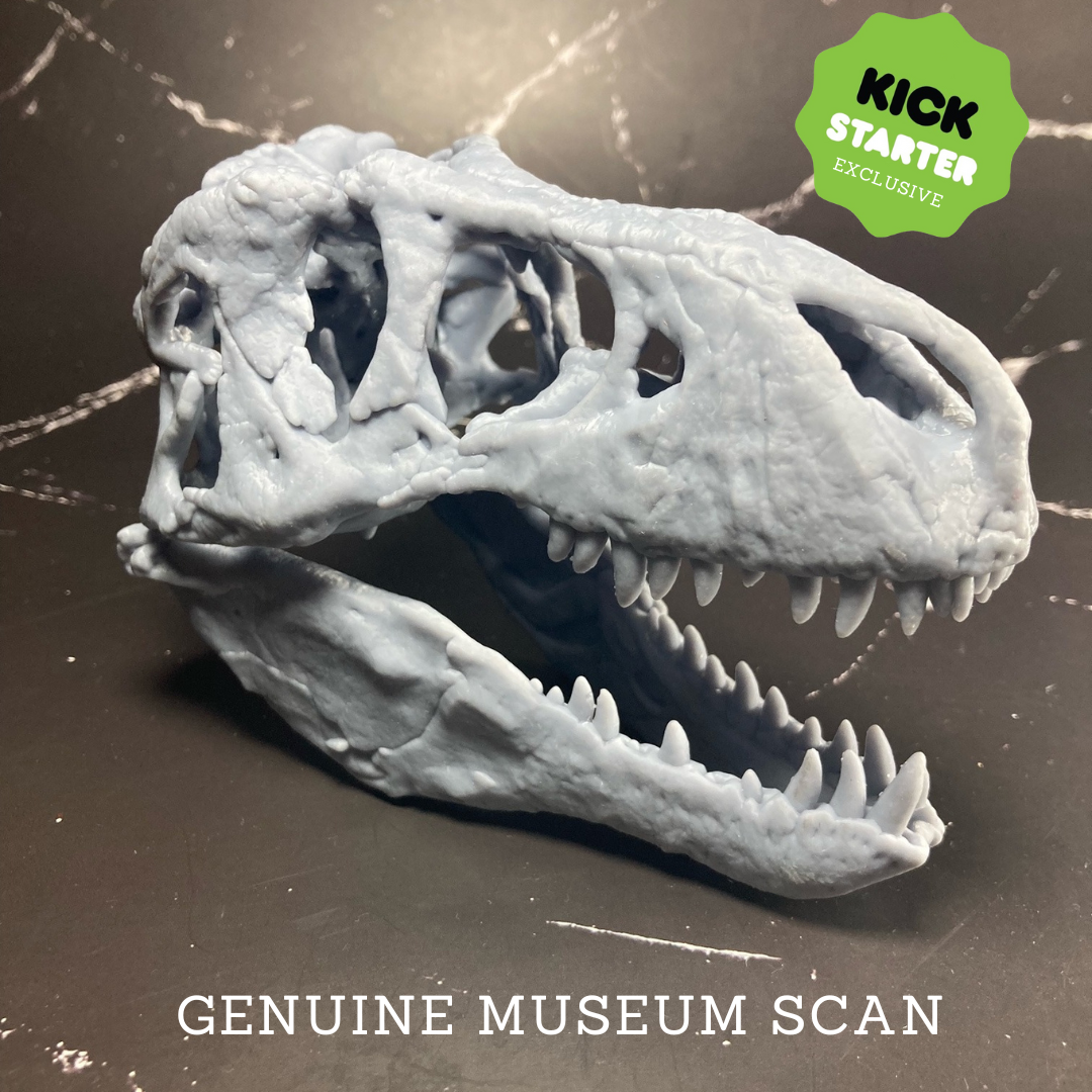 T-Rex Skull - Genuine Museum Scan | Extinct Animals | Limelight Miniatures