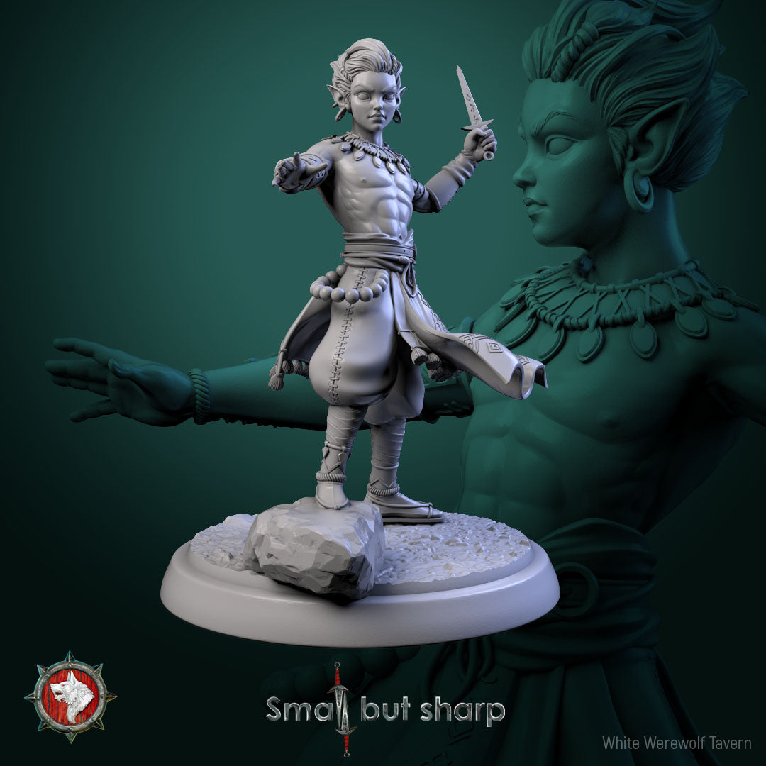 Halfling Monks Set | Small But Sharp | White Werewolf Tavern