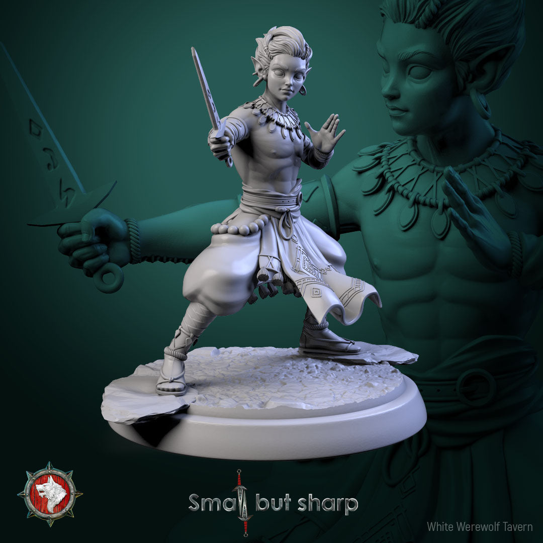 Halfling Monks Set | Small But Sharp | White Werewolf Tavern
