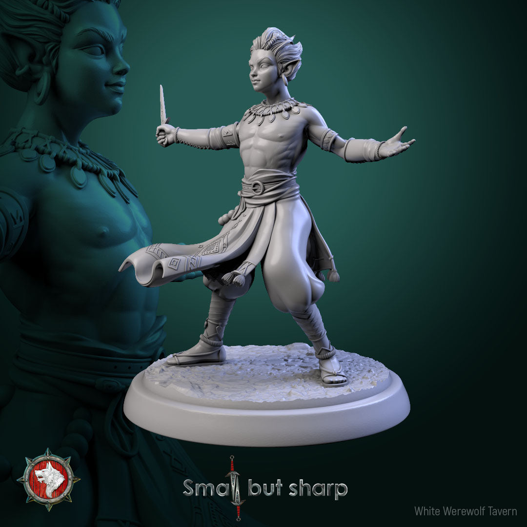 Halfling Monks Set | Small But Sharp | White Werewolf Tavern