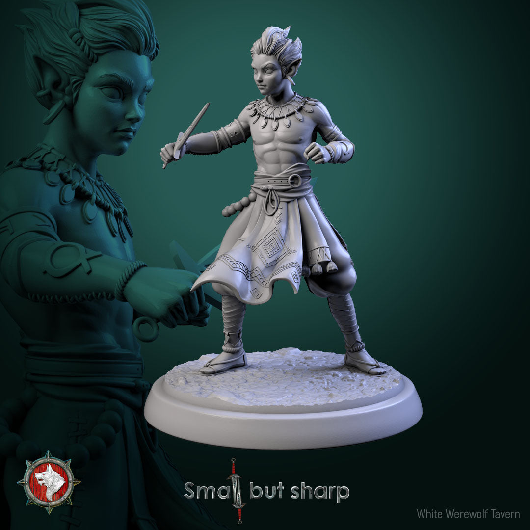 Halfling Monks Set | Small But Sharp | White Werewolf Tavern