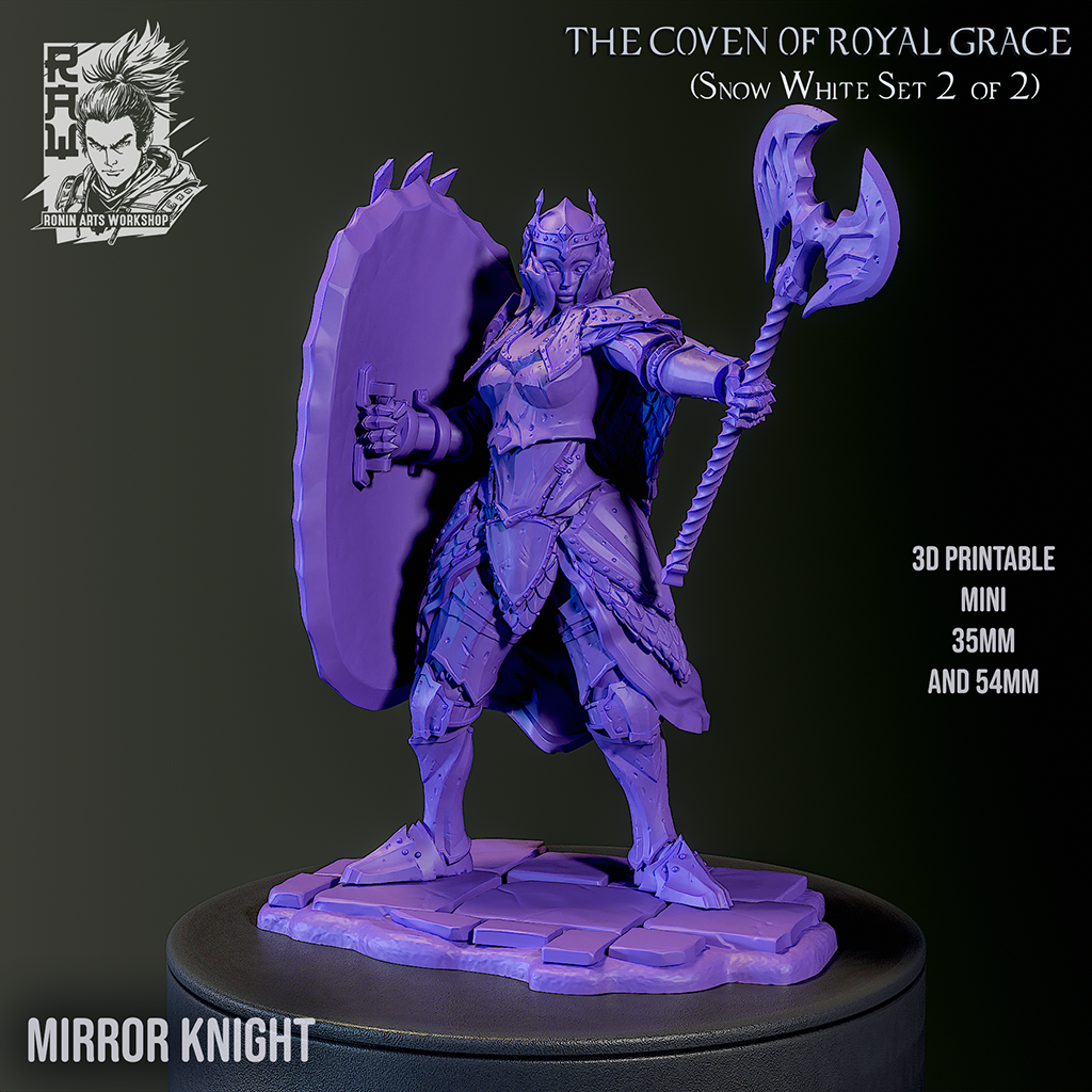 Mirror Knight | The Coven of Royal Grace | 28mm-120mm Scale | Ronin Arts Workshop