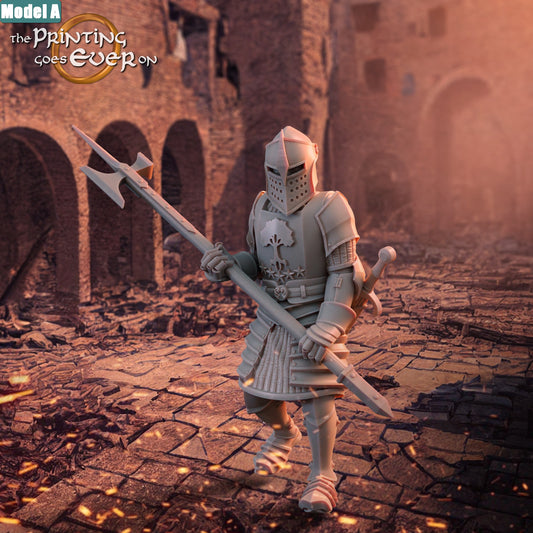 Men at Arms of Osthold | Siege of Osthold | MESBG | The Printing Goes Ever On