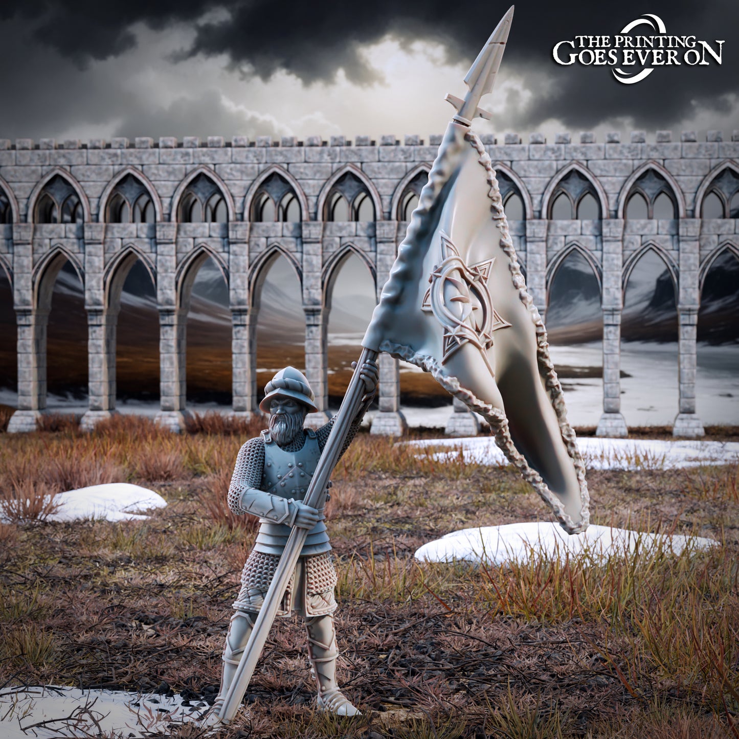 Northern Kingdom Standard Bearer | Tales of the Northern Kingdom | MESBG | The Printing Goes Ever On