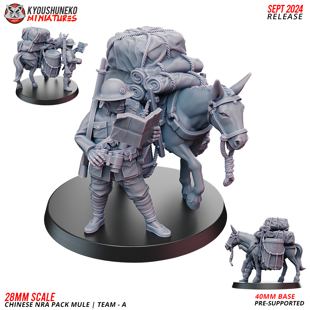 Chinese NRA Pack Mule Team A | China Burma India Theater | Kyoushuneko