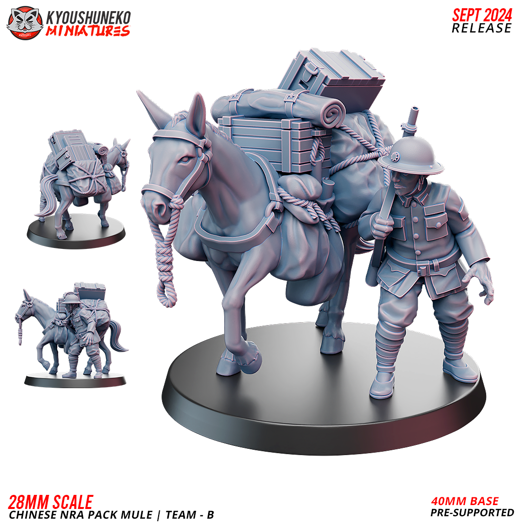 Chinese NRA Pack Mule Team B | China Burma India Theater | Kyoushuneko
