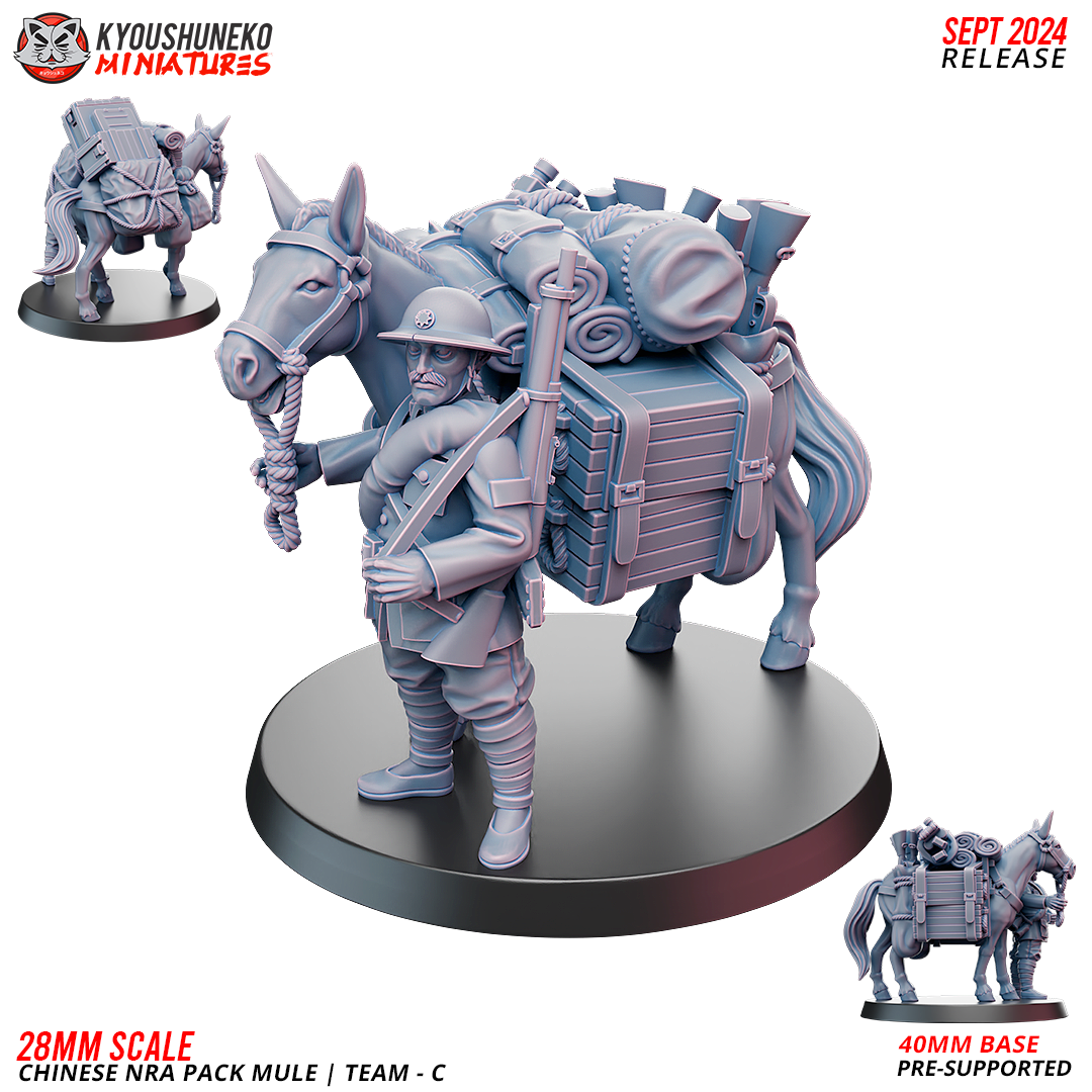 Chinese NRA Pack Mule Team C | China Burma India Theater | Kyoushuneko