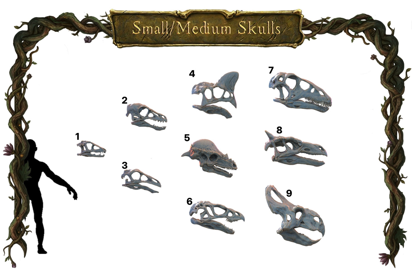 Small Skulls