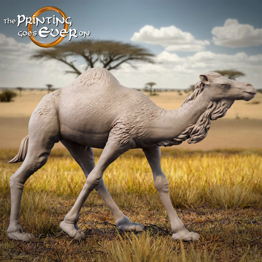 Dromedary Camel | Tribal Realms | MESBG | The Printing Goes Ever On