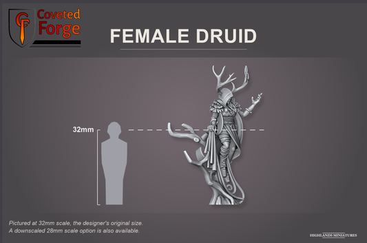 Coveted Forge scale reference: the Female Druid shown, front three-quarter view, beside a 32mm human silhouette. Pictured at 32mm, the designer's original size, with a 28mm downscale also available; 54mm, 75mm and 120mm sizes are also offered.