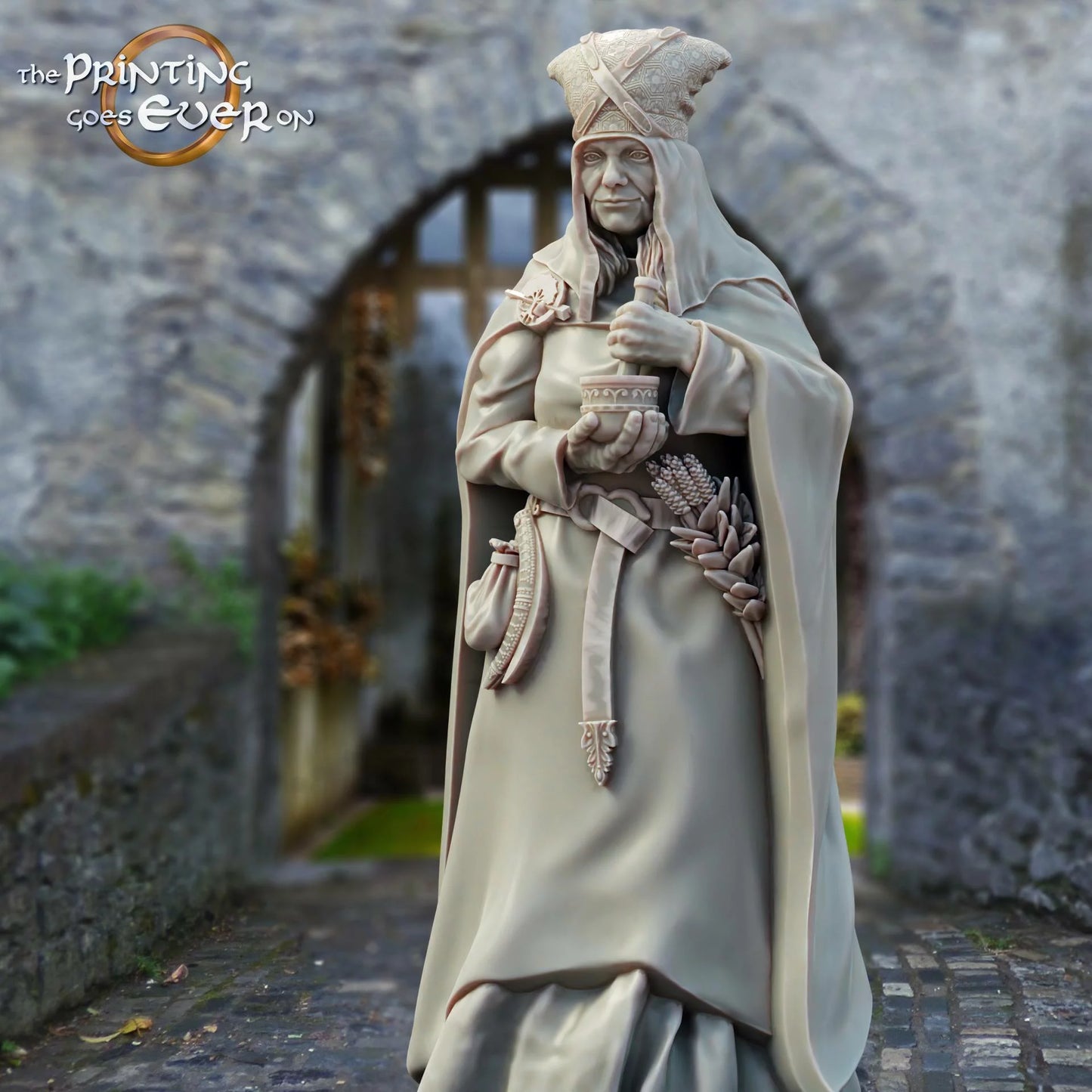 Healer | Citizens of Whitcaester | The Printing Goes Ever On