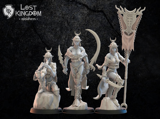 Onna Bugeisha Command Group | Night Elves / Dark Elves | Lost Kingdom Miniatures | Tabletop Gaming | Pathfinder