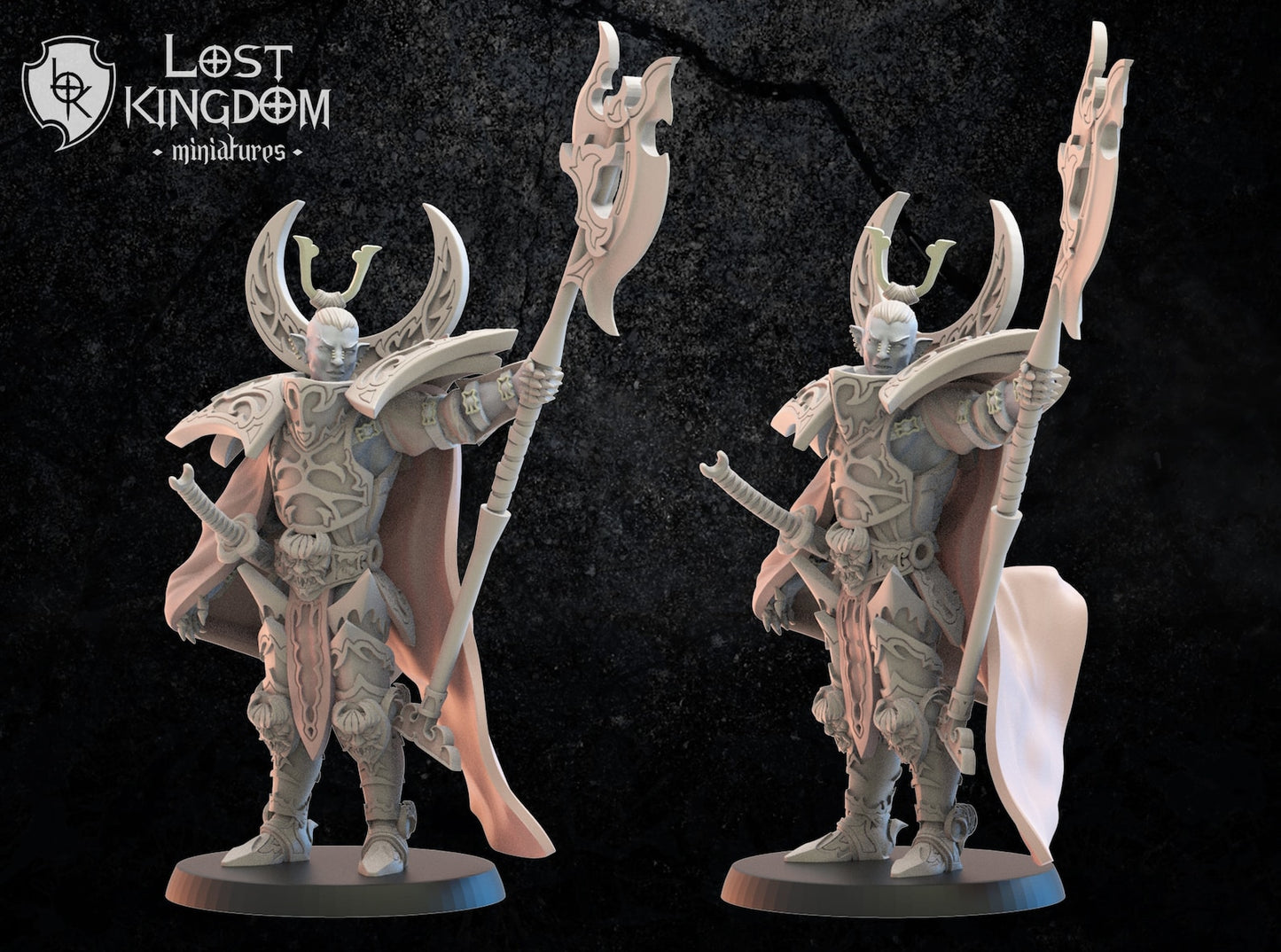 Junichiro on Foot | Night Elves / Dark Elves | Lost Kingdom Miniatures | Tabletop Gaming | Pathfinder
