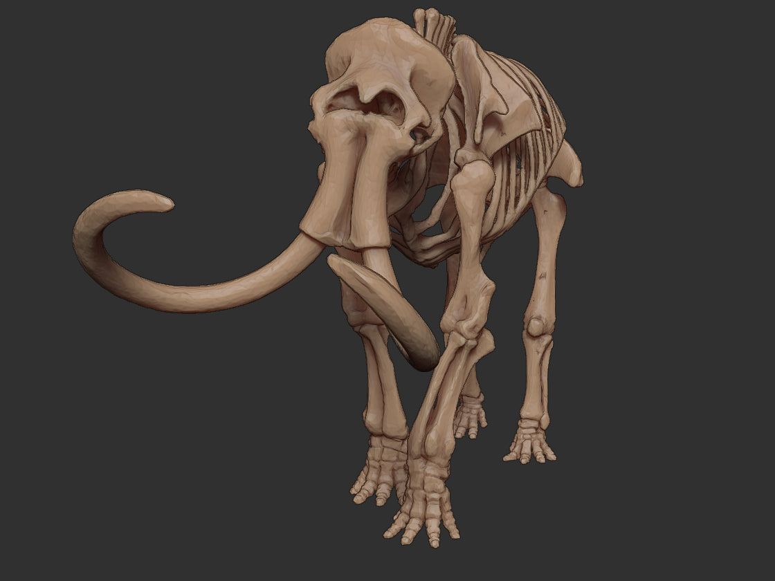 Skeletal Wooly Mammoth | 3 Poses | Extinct Animals | Limelight Miniatures