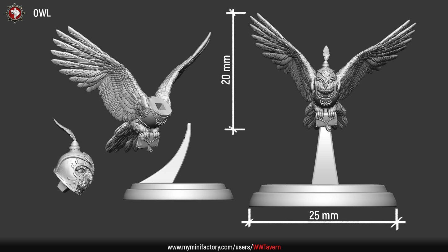 Messenger owl parts layout with head, body and rocky flight stand