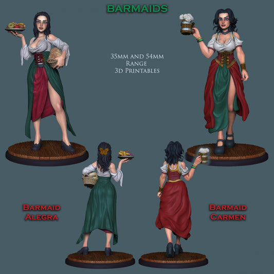 Barmaid Alegra | Multiple Scales | Resin 3D Printed Miniature | Ronin Arts Workshop