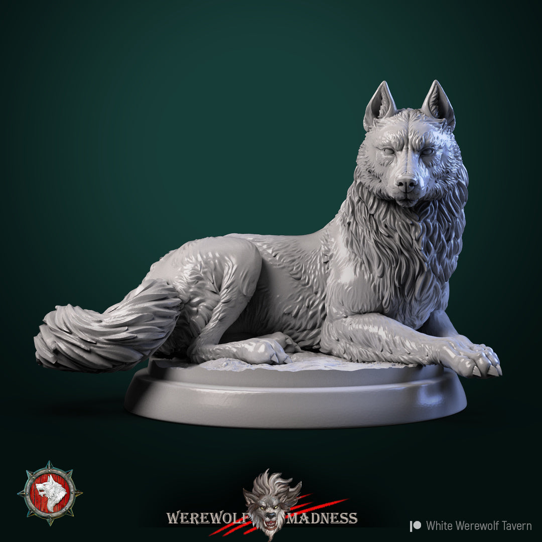 Wolves | Resin 3D Printed Miniature | White Werewolf Tavern
