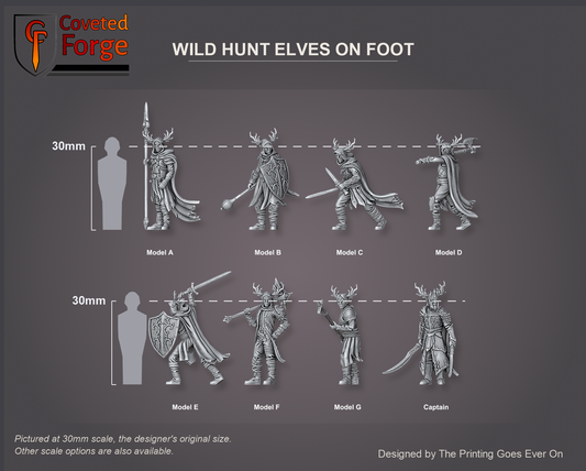 Coveted Forge scale reference: all eight Wild Hunt Elf on Foot sculpts labelled Model A to Model G and the Captain, side profile, beside a 30mm human silhouette; every model in the set is the same scale, pictured at 30mm the original scale with a 28mm downscale also available
