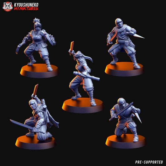 Ninjas | Resin 3D Printed Miniatures | Kyoushuneko | Table Top Gaming | RPG | D&D | Pathfinder