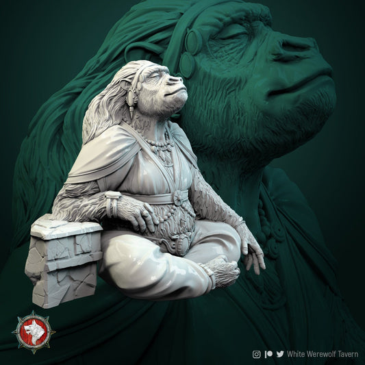 Gorilla Queen | Multiple Scales | Resin 3D Printed Miniature | White Werewolf Tavern | RPG | D&D | DnD