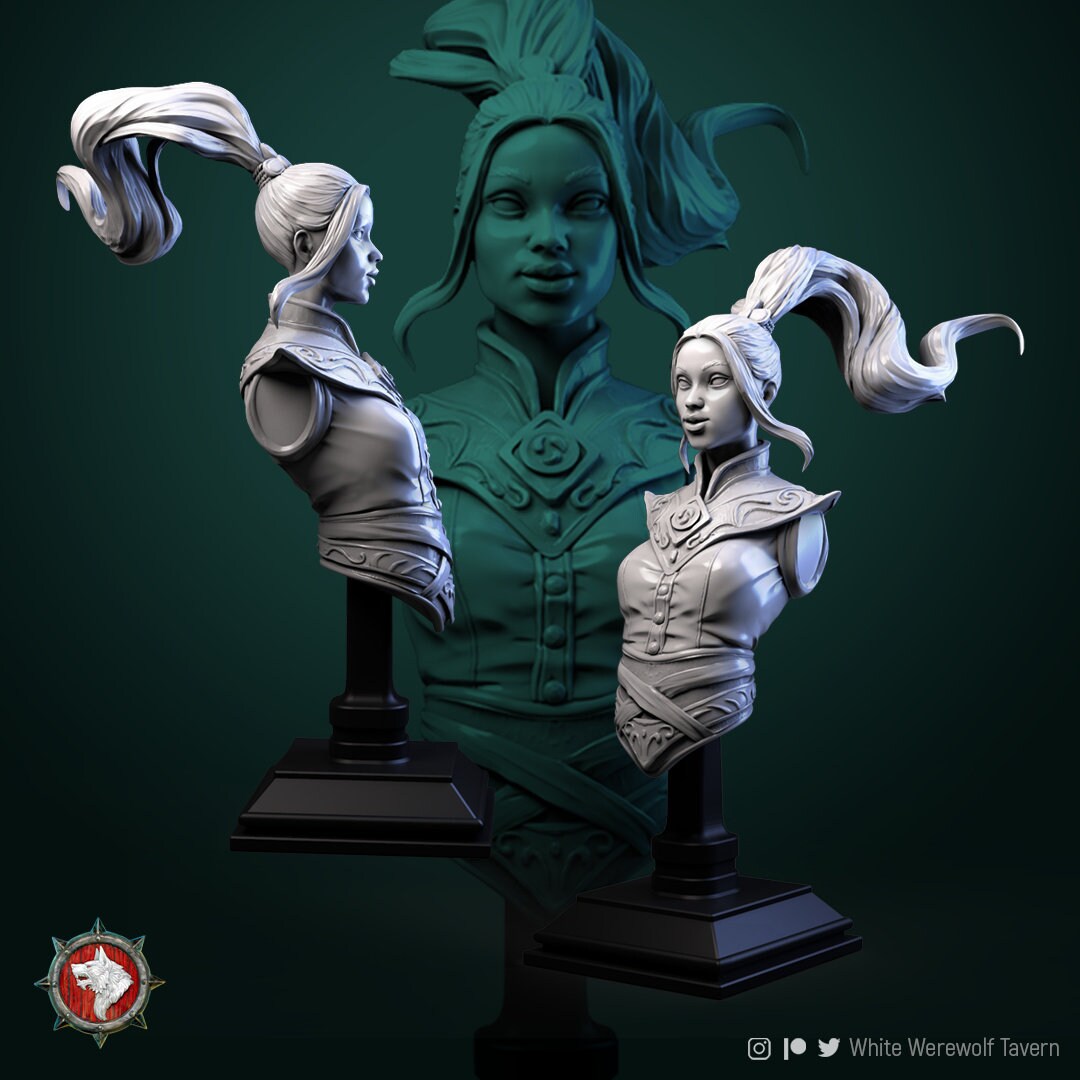 Air Master | Bust | Resin 3D Printed Miniature | White Werewolf Tavern