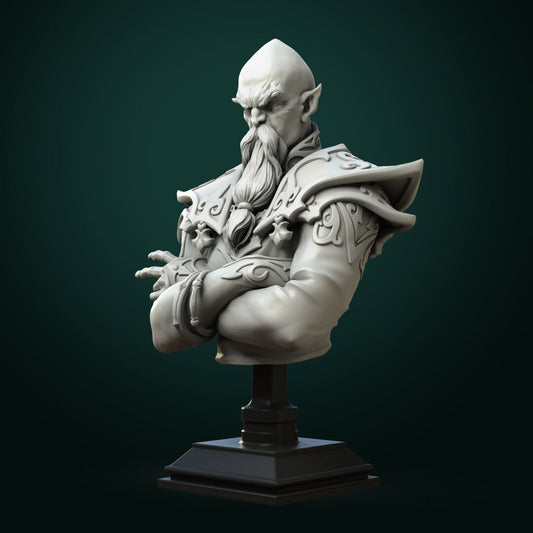 Zondar Valis Archmage | Bust | Resin 3D Printed Miniature | White Werewolf Tavern
