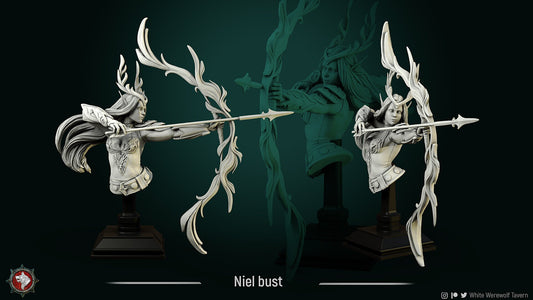 Niel Elven Queen | Bust | Resin 3D Printed Miniature | White Werewolf Tavern
