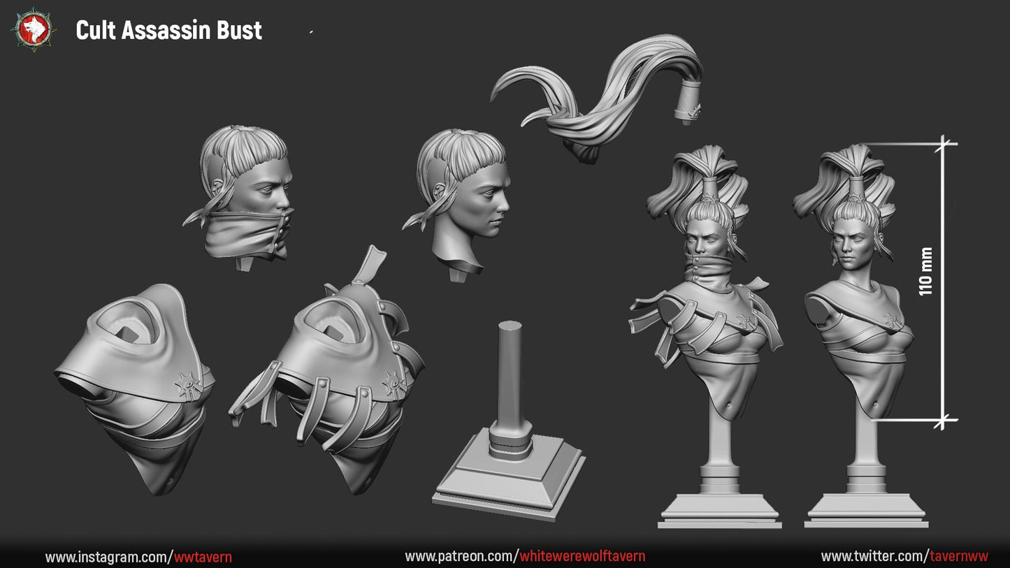 Cult Assassin | Bust | Resin 3D Printed Miniature | White Werewolf Tavern