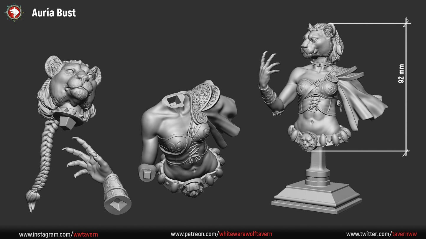 Auria Tabaxi Female | Bust | Resin 3D Printed Miniature | White Werewolf Tavern