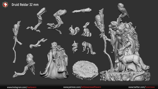 Druid Reidar | Multiple Scales | Resin 3D Printed Miniature | White Werewolf Tavern | RPG | D&D | DnD