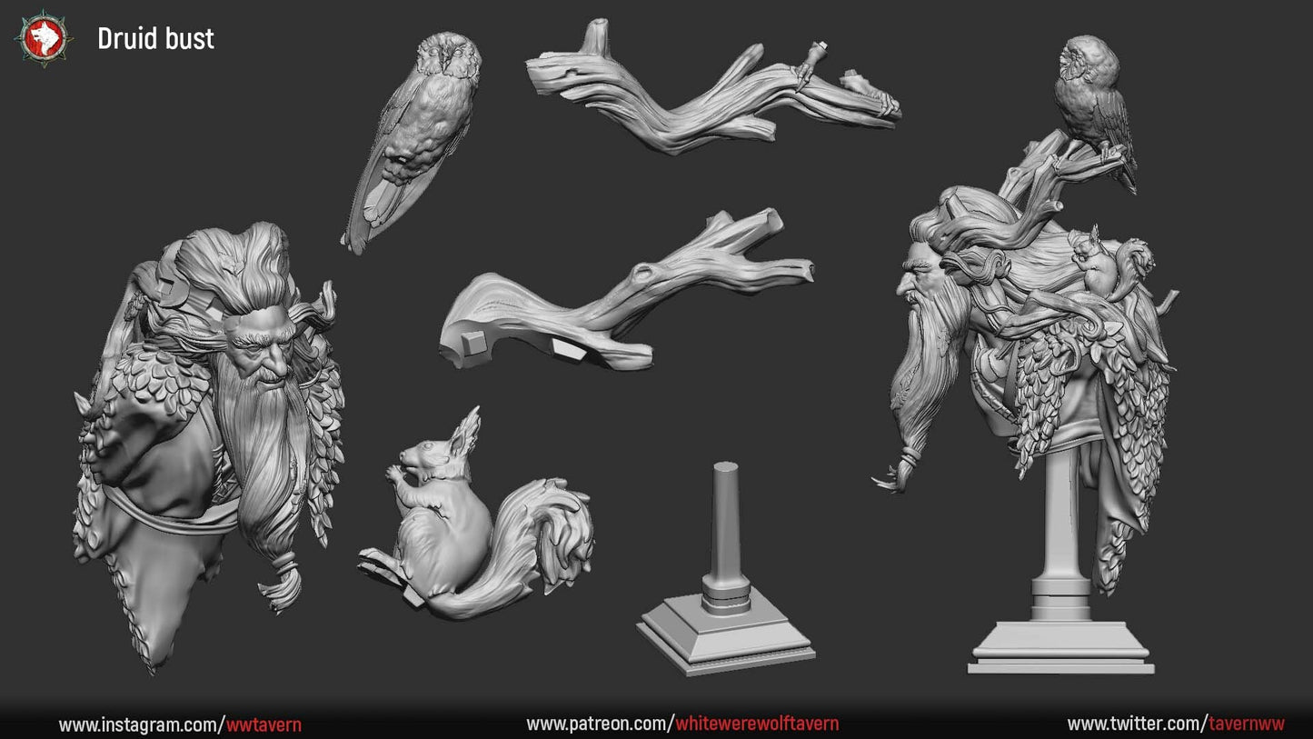 Druid Reidar | Bust | Resin 3D Printed Miniature | White Werewolf Tavern