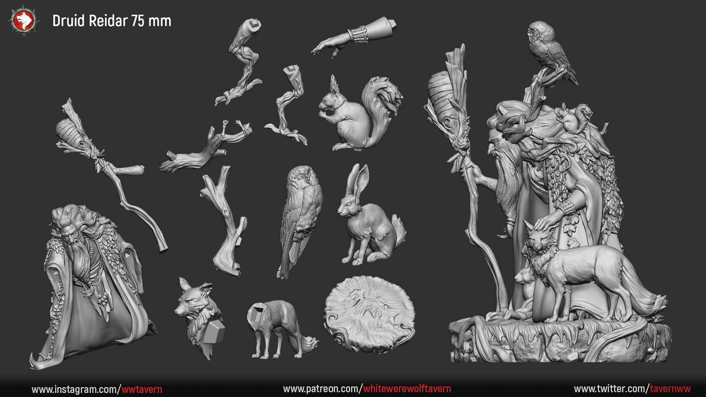Druid Reidar | Multiple Scales | Resin 3D Printed Miniature | White Werewolf Tavern | RPG | D&D | DnD