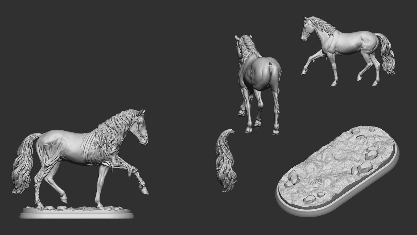 Ghost Horse | Castle Of Blood | Resin 3D Printed Miniature | White Werewolf Tavern | RPG | D&D | DnD