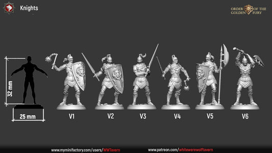 Knights | Order Of The Golden Fury | Resin 3D Printed Miniature | White Werewolf Tavern | RPG | D&D | DnD