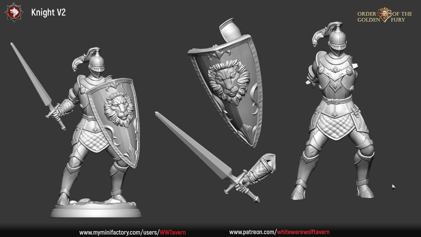 Knights | Order Of The Golden Fury | Resin 3D Printed Miniature | White Werewolf Tavern | RPG | D&D | DnD