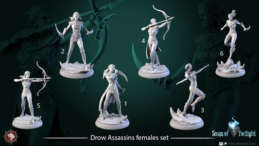 Drow Assassins Females set | Songs Of Twilight | Resin 3D Printed Miniature | White Werewolf Tavern | RPG | D&D | DnD
